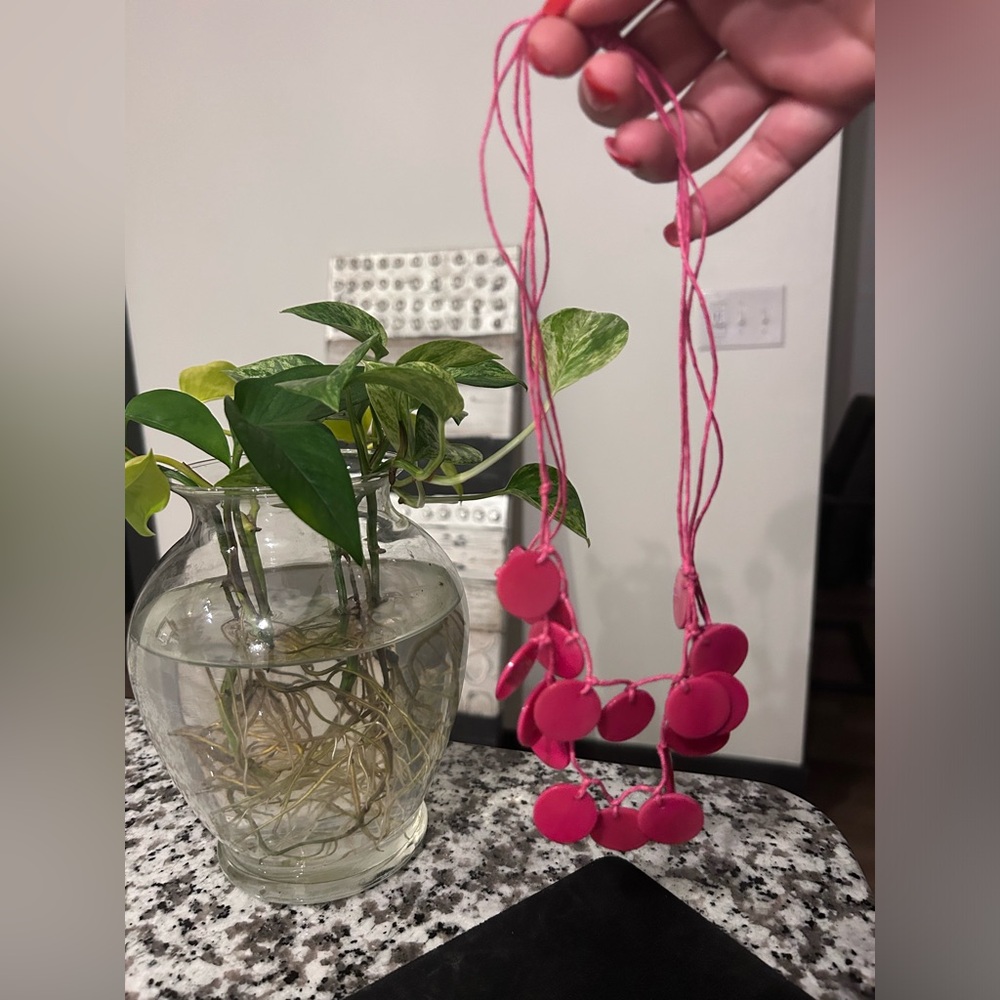 Tagua necklace
